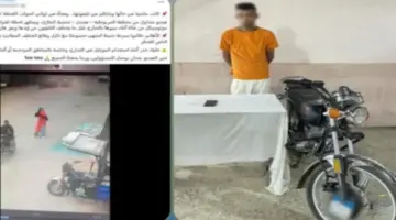 بدراجة نارية| ضبط عاطل خطف هاتفا محمولا من فتاة بالجيزة